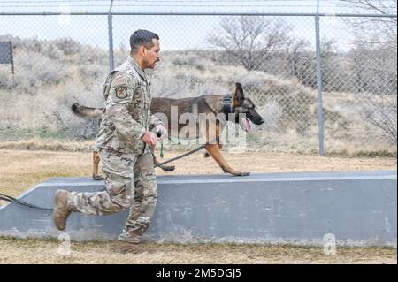 Il cane militare Bak attraversa un percorso a ostacoli con il suo gestore, il personale Sgt. Ricardo Roque, 75th Squadron delle forze di sicurezza, durante l'addestramento del 4 marzo 2022, alla base dell'aeronautica di Hill, Utah. Bak, un cane di rilevamento esplosivo di pattuglia, è una nuova aggiunta al canile K-9 di Hill, essendo recentemente arrivato dal programma di lavoro militare cane presso la base comune di San Antonio-Lackland, Texas. Foto Stock