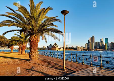 Sydney. Nuovo Galles del Sud. Australia. Il Teatro dell'Opera Foto Stock