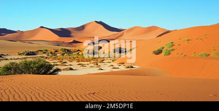 Sossusvlei con grandi dune di sabbia arancione e increspature nella sabbia. Foto Stock