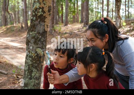 Felice madre e figlia esplorando e utilizzando la lente di ingrandimento per osservare gli insetti sul tronco dell'albero nella foresta. Famiglia felice in vacanza nella natura. Foto Stock