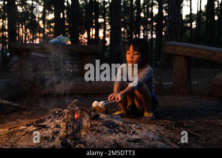 Carino sorelline arrostire marshmallows sul fuoco del campfire. Bambini che si divertono al fuoco del campo. Campeggio con bambini in pineta invernale. Famiglia felice su Foto Stock