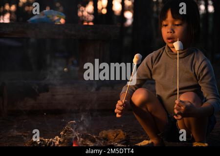 Carino sorelline arrostire marshmallows sul fuoco del campfire. Bambini che si divertono al fuoco del campo. Campeggio con bambini in pineta invernale. Famiglia felice su Foto Stock