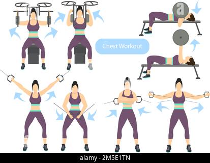 Allenamento al petto su sfondo bianco. Esercizi per le donne. Duro allenamento. Illustrazione Vettoriale
