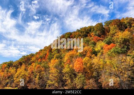 Paesaggio autunnale lungo il fiume Watauga vicino alla diga di Wilbur nella valle del fiume Watauga nel Tennessee, Stati Uniti. Foto Stock