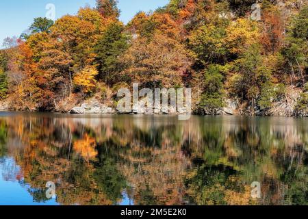 Paesaggio autunnale lungo il fiume Watauga vicino alla diga di Wilbur nella valle del fiume Watauga nel Tennessee, Stati Uniti. Foto Stock