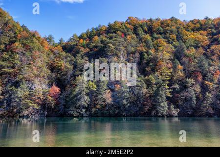 Paesaggio autunnale lungo il fiume Watauga vicino alla diga di Wilbur nella valle del fiume Watauga nel Tennessee, Stati Uniti. Foto Stock