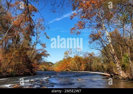 Colori autunnali lungo il fiume Watauga sotto il cielo blu al Sycamore Shoal state Park di Elizabethan, Tennessee, USA. Foto Stock