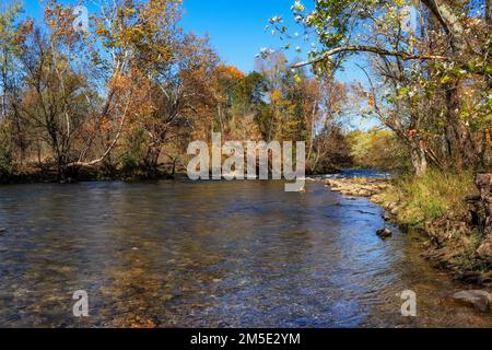 Colori autunnali lungo il fiume Watauga sotto il cielo blu al Sycamore Shoal state Park di Elizabethan, Tennessee, USA. Foto Stock