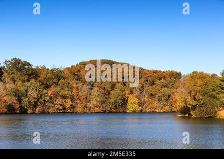 Autunno lungo il South Fork Holston River nel Warrior's Path state Park a Kingsport, Tennessee, USA Foto Stock