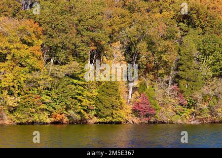 Autunno lungo il South Fork Holston River nel Warrior's Path state Park a Kingsport, Tennessee, USA Foto Stock