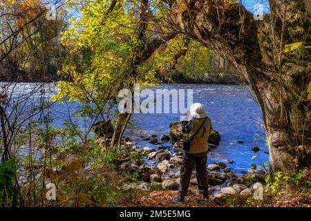 Elizabethon, Tennessee, USA - 20 ottobre 2022: Una donna fotografa che cattura le foto del paesaggio autunnale lungo le rive del fiume Watauga i. Foto Stock