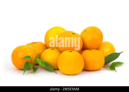 Tangerini freschi su sfondo bianco Foto Stock