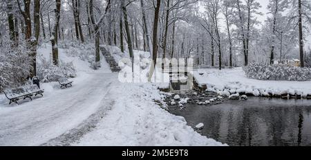 Paesaggio invernale. Vista sulla piccola cascata e sul fiume e coperta di alberi di neve. Foto Stock