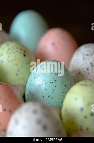 Uova macchiate rosse, blu, verdi e bianche in una scatola di cartone Foto Stock