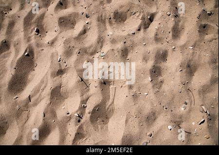 Sabbia con rocce e conchiglie Foto Stock