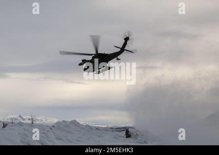 Paracadutisti di Spartan del Battaglione di supporto della Brigata 725th, della squadra di combattimento della Brigata di Fanteria 4th (Airborne), della Divisione di Fanteria 25th, della “Brigata di Spartan”, E gli equipaggi aerei del battaglione 1st, reggimento dell'aviazione 52d, battaglione dell'aviazione generale di supporto (GSAB), conducono una prova DI MEDEVAC in preparazione alla rotazione 22-02 del Centro di preparazione multinazionale del pronto per il Pacifico congiunto vicino a Fort Greely, Alaska, 8 marzo 2022. JPMRC 22-02 è la prima rotazione regionale del Centro di addestramento al combattimento in Alaska. Si concentra su LSCO (Large Scale Combat Operations) ed è un evento di formazione per climi freddi che include Situatio Foto Stock