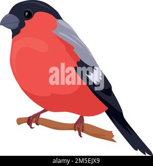 Icona Bullfinch. Uccello rosso d'inverno. Simbolo della fauna selvatica isolato su sfondo bianco Illustrazione Vettoriale