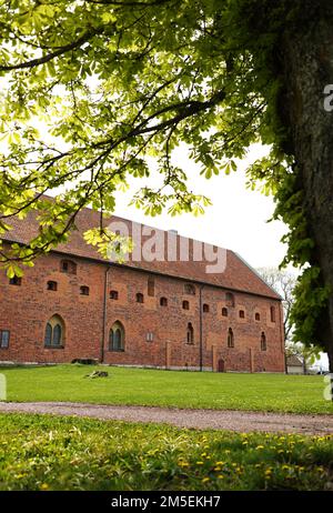 Vadstena kungsgård, o Vadstena kungshus, era un palazzo reale e una tenuta reale situata a Vadstena, Östergötland, Svezia. L'edificio ha avuto diversi nomi nel corso degli anni, come il palazzo di Bjälboätten, Folkungapalatset, il palazzo del re, Krigsmanshuset e Nunneklostret Foto Stock