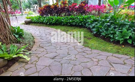 Bellezza rosso rosa pianta fiore nel parco pubblico con percorso di pietra ben organizzato Foto Stock