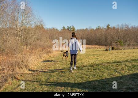 Ragazza con il suo cane di montagna svizzero che cammina fuori ai margini dei boschi nel New Hampshire USA Foto Stock