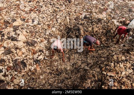 Il metodo di riciclaggio della pelle è chiamato serie gam. Grandi quantità di cuoio sono accumulate in su per alcuni giorni dopo che tutti sono lavati dalla macchina. Foto Stock