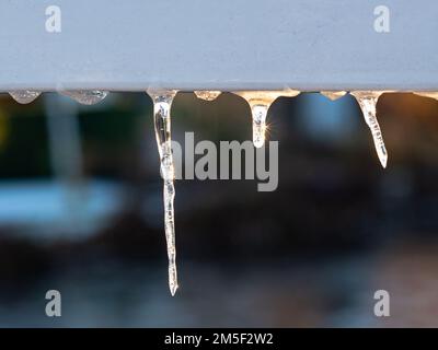 I ghiaccioli brillano alla luce del sole in una fredda mattinata invernale Foto Stock