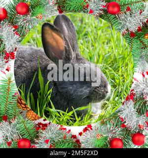 Ritratto di un coniglio nero - un simbolo del 2023, in una cornice di decorazione di Capodanno. Foto Stock