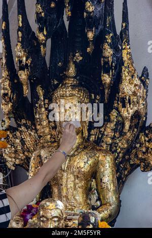 Si attaccano le foglie d'oro su una statua di Buddha seduta sotto un Naga a sette teste, tempio buddista, Thailandia Foto Stock
