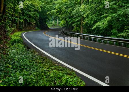 Quando la primavera colpisce gli Smokies, sembra che il colore verde sia appena esploso. Aggiungi il modo in cui la pioggia intensifica i colori, e wow. La valle Wears Roa Foto Stock