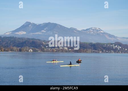 Due persone e una persona che si esercitano in barca a remi sul lago di lucerna sotto la supervisione di un allenatore su un'imbarcazione a motore. Foto Stock