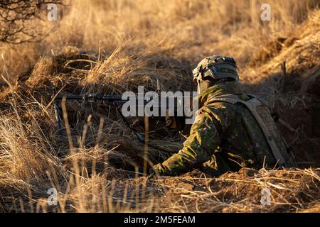 Un soldato slovacco si rivolge a una posizione nemica simulata durante lo Sciopero Saber 22 nella zona di addestramento militare di Lest, Slovacchia, 11 marzo 2022. Saber Strike 22 è un esercizio multinazionale dal 18 febbraio al 18 marzo 2022, che include la partecipazione di 13 nazioni alleate e partner della NATO. L'esercizio è volto a dimostrare le capacità collettive della NATO di operare in condizioni austere e dimostrare che siamo più forti insieme. Foto Stock