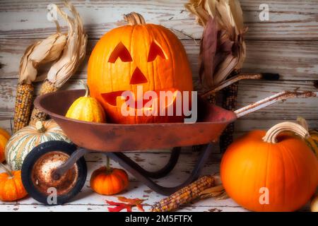 Zucca intagliata in Old Child's Wheelbarrow con. Autunno frutta Still Life Foto Stock