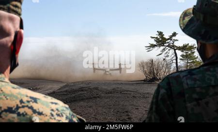 STATI UNITI Marines e soldati giapponesi della Ground Self-Defense Force (JGSDF) testimoniano lo sbarco degli Stati Uniti Corpo marino MV-22B Ospreys e un giapponese V-22 Osprey su Camp Takigahara, Prefettura di Shizuoka, Giappone, 15 marzo 2022. Il JGSDF ha ospitato una conferenza stampa bilaterale per rispondere a domande sull'esercizio di difesa marittima Brigata di rapida implementazione anfibia (MDX-ARDB). MDX-ARDB è un esercizio bilaterale volto ad aumentare l'interoperabilità e a rafforzare i legami tra le forze statunitensi e giapponesi per la difesa del Giappone. Foto Stock