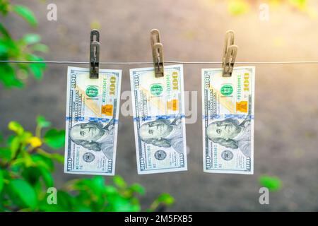 I conti da 100 dollari pendono sui vestiti contro lo sfondo di un letto da giardino. Riciclaggio di denaro in agricoltura. Trecento dollari che asciugano il primo piano Foto Stock