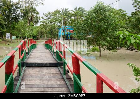 Ponte di legno nella Foresta di Mannarbans Mangrove Foto Stock