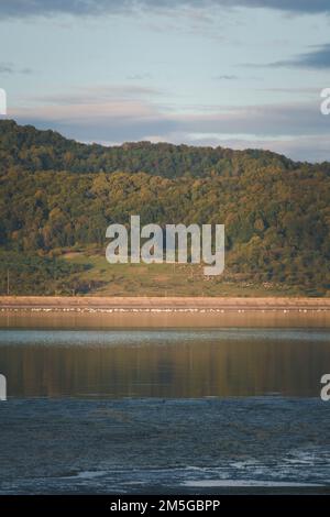 Un colpo verticale di alberi verdi sulla riva del lago Valcelele nella contea di Arges, Romania Foto Stock