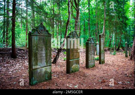 Cimitero ebraico storico nella zona boscosa di Wingst, distretto di Cuxhaven, bassa Sassonia, Germania Foto Stock