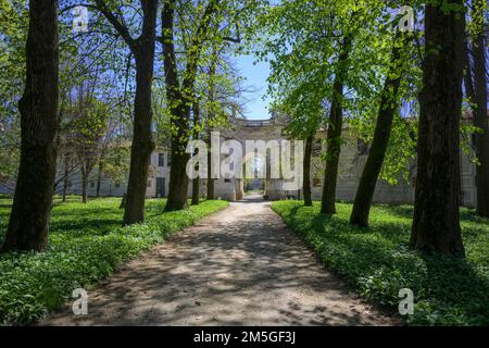 Exedra nel parco di Villa Pisani, Stra, Provincia di Venezia, Italia Foto Stock