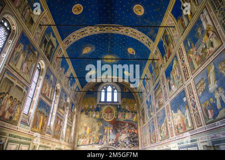 Cappella degli Scrovegni o Cappella Arena con affreschi di Giotto di Bondone, Padova, Provincia di Padova Foto Stock