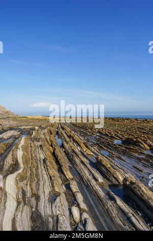 Flysch costa geologica, formazioni Flysch a Zumaya nei Paesi Baschi, Spagna Foto Stock