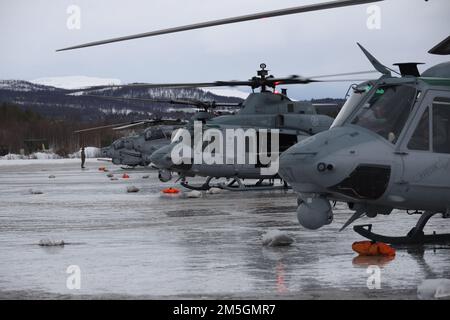 Il corpo della Marina degli Stati Uniti UH-1Y Venom e un AH-1Z Viper elicotteri si preparano per il decollo con Royal Norwegian Air Force col. Eirik Stueland durante l'esercizio Cold Response 2022, Setermoen, Norvegia, 17 marzo 2022. Stueland è il comandante dell'Ala marittima dell'elicottero e gli elicotteri sono assegnati al Marine Light Attack Helicopter Squadron 269. Exercise Cold Response '22 è un esercizio biennale di preparazione e difesa nazionale norvegese che si svolge in tutta la Norvegia, con la partecipazione di ciascuno dei suoi servizi militari, nonché da 26 ulteriori organizzazioni del Trattato Nord Atlantico alleati Foto Stock