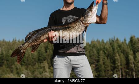 il pescatore maschio tiene un grande pesce luccio catturato nelle mani Foto Stock