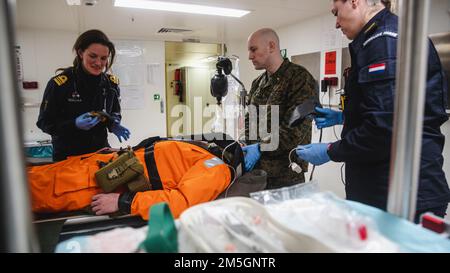 Royal Netherlands Navy Lt. CMdR. Elza Reinstra e U.S. Severiano Acebo Treat a simulato casualty during Exercise Cold Response 2022, 17 marzo 2022. Reinstra è il medico ufficiale con la piattaforma di atterraggio nave Dock, HNLMS Rotterdam (L800), e Acebo è un battaglione chirurgo con 3rd battaglione, 6th reggimento marino, 2D divisione marina, II Marine Expeditionary Force. Exercise Cold Response '22 è un esercizio biennale di preparazione e difesa nazionale norvegese che si svolge in tutta la Norvegia, con la partecipazione di ciascuno dei suoi servizi militari, così come da altri 26 alleati NATO Foto Stock