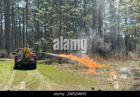 L'esercito di Fort Stewart-Hunter Airfield Garrison Commander col. Manny Ramirez dimostra come utilizzare una torcia di terra per iniziare una combustione prescritta durante una riunione trimestrale del Comitato per il controllo della qualità ambientale, il 17 marzo su Fort Stewart. Foto Stock