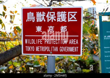 Tokyo, Giappone. 4th Nov 2022. Un'area di protezione della fauna selvatica istituita dal Governo Metropolitano di Tokyo per proteggere i gigli d'acqua e le piante di loto intorno allo Stagno di Shinobazu (ä¸å¿Æ± ) nella serata autunnale al Parco Ueno (ä¸Šé‡Žå…¬åœ'), a Tokyo. L'Ueno Park è una destinazione popolare per la gente del posto e i turisti ed è uno dei parchi più grandi della Tokyo metropolitana ed è stato costruito nell'era Meiji. Lo zoo di Ueno Park, che è il più antico zoo del Giappone, ospita due panda giganti della riserva naturale cinese di Wolong chiamati LÄ«lÄ« (åŠ›åŠ› ãƒªãƒ¼ãƒªãƒ¼) e Shinshin (çœŸçœŸ ã‚·ãƒ³ã‚·ãƒ³) Foto Stock