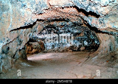 Volcanic Legacy Scenic Byway - Subway Cave. Subway Cave, un tubo di lava a nord del Lassen Volcanic National Park, sull'autostrada 89. Lava Beds National Monument si estende su oltre 46.500 ettari e contiene la più grande concentrazione di grotte a tubo di lava degli Stati Uniti. Mentre i tubi di lava non sono insoliti nelle aree vulcaniche, la grande quantità trovata a Lava Beds è. Location: (41,705° N 121,516° W) Foto Stock