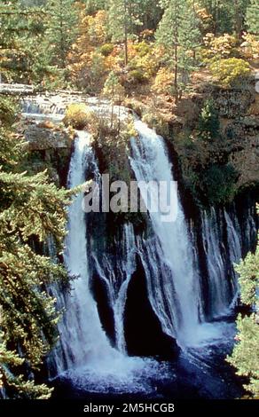 Volcanic Legacy Scenic Byway - McArthur-Burney Falls Memorial state Park. Burney Falls è una cascata di 129 metri. Queste cadute fluiscono allo stesso tasso tutto l'anno lungo - 100 milione galloni di acqua ogni giorno. Mentre la cascata è il fulcro del parco, offre anche otto chilometri di sentieri escursionistici e 128 campeggi sviluppati con docce, servizi igienici e aree picnic. Location: (41,013° N 121,652° W) Foto Stock