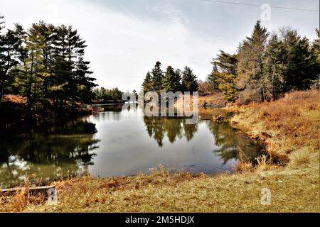 Una scena del lago Suukjak Sep presso il campeggio Pine View presso la Pine View Recreation Area è mostrata il 17 marzo 2022 a Fort McCoy, Wisconsin. L'area ricreativa comprende ettari di terreno accessibile al pubblico con percorsi escursionistici, Pine View Campground, Whitetail Ridge Ski Area e Sportsman's Range. La Pine View Recreation Area offre attività durante tutto l'anno, che includono campeggio, escursioni, pesca e molto altro. Ulteriori informazioni sull'area sono disponibili all'indirizzo https://mccoy.armymwr.com/categories/outdoor-recreation. Foto Stock