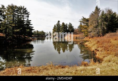 Una scena del lago Suukjak Sep presso il campeggio Pine View presso la Pine View Recreation Area è mostrata il 17 marzo 2022 a Fort McCoy, Wisconsin. L'area ricreativa comprende ettari di terreno accessibile al pubblico con percorsi escursionistici, Pine View Campground, Whitetail Ridge Ski Area e Sportsman's Range. La Pine View Recreation Area offre attività durante tutto l'anno, che includono campeggio, escursioni, pesca e molto altro. Ulteriori informazioni sull'area sono disponibili all'indirizzo https://mccoy.armymwr.com/categories/outdoor-recreation. Foto Stock