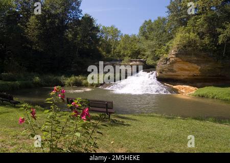 Storica Bluff Country Scenic Byway - Cascate e Fiori di Como. Fiori di ibisco rosa fioriscono prima delle Cascate di Como in estate. Cascate di Como, Minnesota (43,761° N 91,343° W) Foto Stock